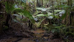 rkT9UYVuKcfNh9oqjhNdFEuS7RJ