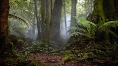 ub3CJGRfH1PlJrzMtT20yCOP5Ap