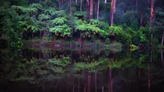 d3JIeEY8Zt61QpLjzxaRFNLp8qb