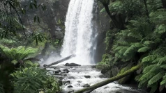 kFQlUVH4F0pnqxP2vuuxJqETEsx